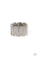 Cabo Canopy - Silver - Paparazzi Accessories